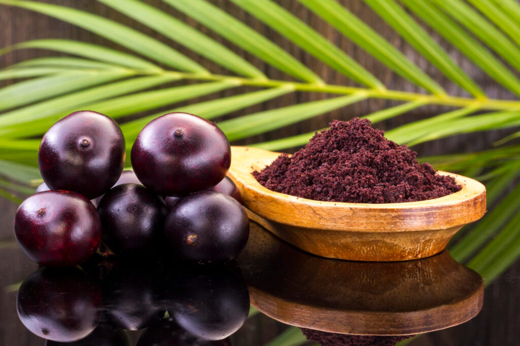 Fresh açaí berries and powder on palm leaf background representing certification bio food sourcing from Amazon rainforest