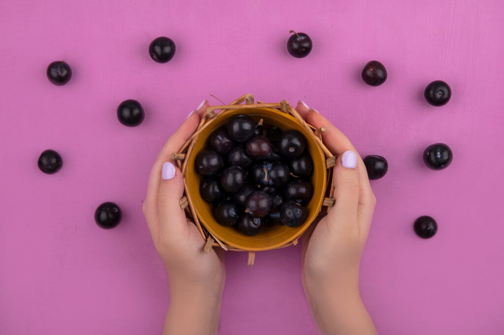 Hands holding small basket of fresh dark berries on pink background, natural source of açaí antioxidants